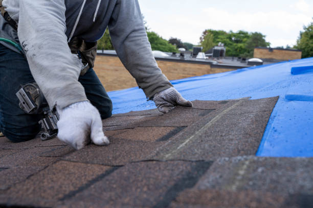 Best Metal Roofing Contractor  in Reedley, CA